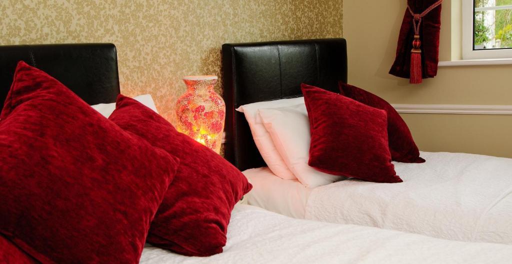 Sika Lodge Guesthouse Killarney Pokój zdjęcie